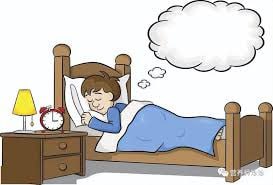 梦想日记：平凡背后的坚持与收获