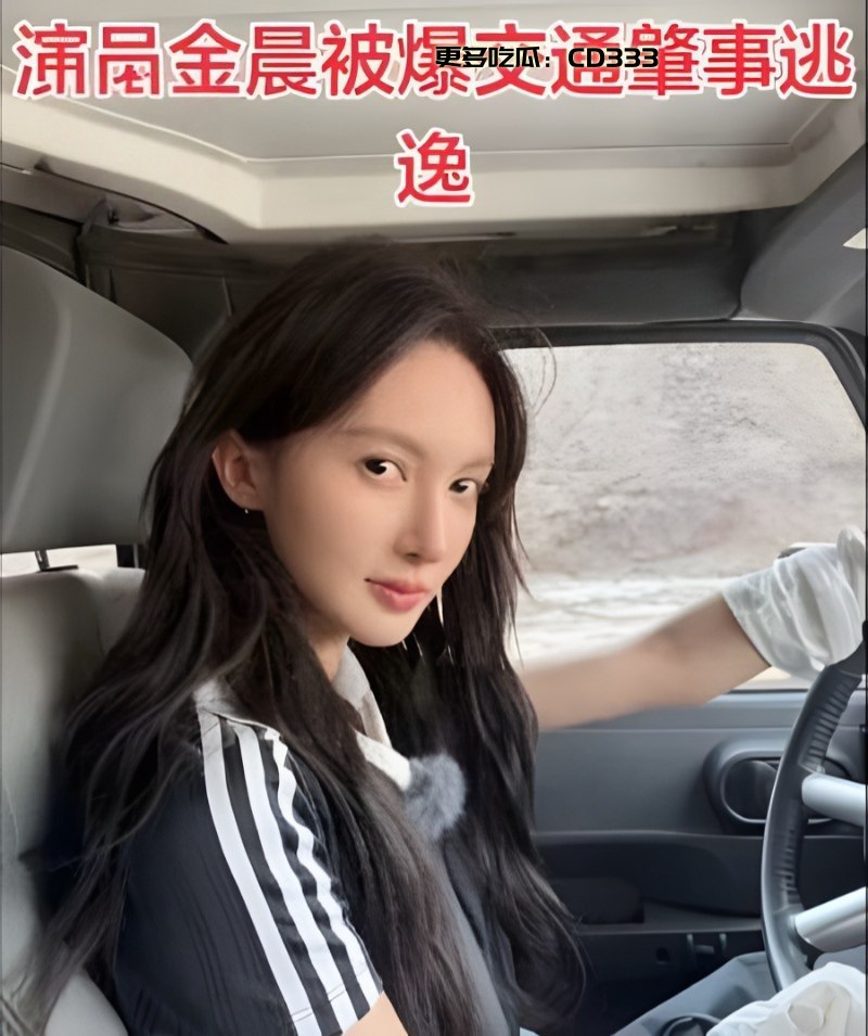 金晨肇事逃逸助理顶包，疑为张雨绮挡枪 - 图片5