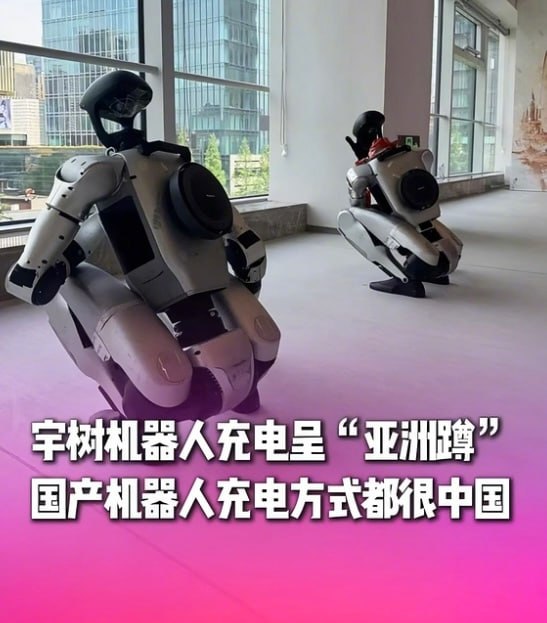 集体拉屎场面壮观 - 图片3